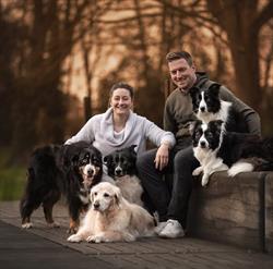 Dogs in motion, Adegem openingstijden