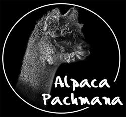 Alpaca Pachmana, Ham openingstijden