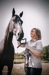 Hoeve Vreckom, Ninove openingstijden