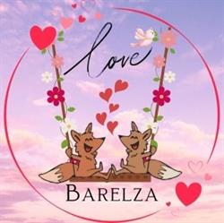 Barelza, Waasmunster openingstijden