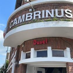 Cambrinus, Denderleeuw openingstijden