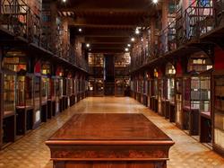 Nottebohmzaal, Antwerpen openingstijden