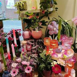 Bloemenateljee St tropez, Wachtebeke openingstijden