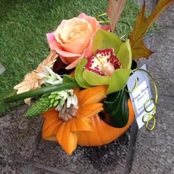 Couvy-Fleurs, Couvin openingstijden