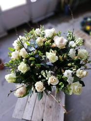 Bloemen De Vil, Meise openingstijden