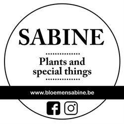 Bloemen Sabine/ Woonwinkel Sabine, Oostkamp openingstijden