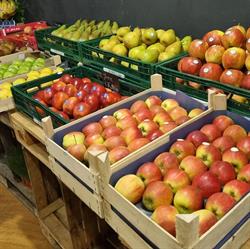 Schanul, Schoten openingstijden