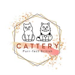 Cattery Purr-Fect British, Kortemark openingstijden