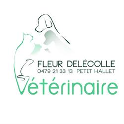 Docteur vétérinaire Fleur Delécolle, Hannuit openingstijden