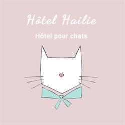 Hôtel Hailie, Ukkel openingstijden