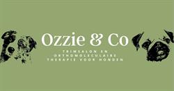 Ozzie & Co, Berlaar openingstijden