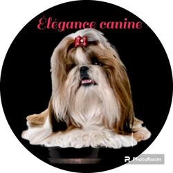 Elegance Canine, Dison openingstijden