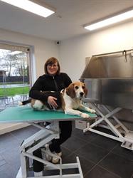 Trimsalon Ollie, Roeselare openingstijden