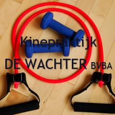 Kinepraktijk De Wachter, Boom openingstijden