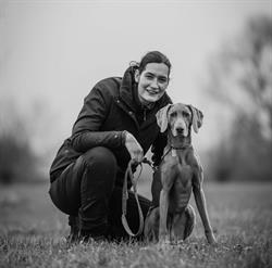 Dogs&Discipline, Ardooie openingstijden
