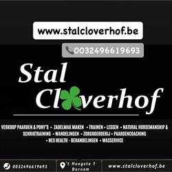 Stal Cloverhof, Bornem openingstijden