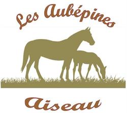 Écurie des Aubépines, Presles openingstijden