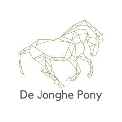 De Jonghe Pony, Wingene openingstijden