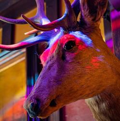 La Reserve, Brussel openingstijden