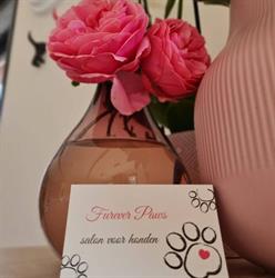 Furever paws, Waarschoot openingstijden
