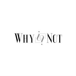 WhyNot Gent Gastrobar/cocktails, openingstijden
