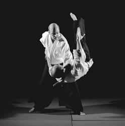 Chu Shin Aiki Dojo, Brussel openingstijden