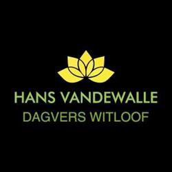 Hans Vandewalle - Dagvers Witloof, Pittem openingstijden
