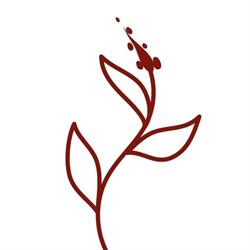 Amaranth plantbased, Merelbeke openingstijden