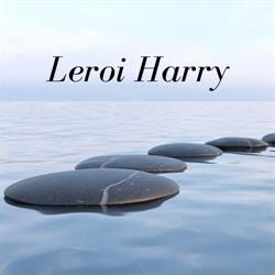 Leroi Harry, Moeskroen openingstijden