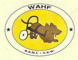 W.a.h.f. Asbl-vzw, Schaarbeek openingstijden
