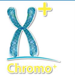 Chromo +, Rendeux openingstijden