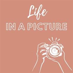 Life in a Picture, Lede openingstijden