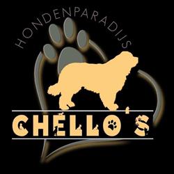 Chello's Hondenparadijs, Lochristi openingstijden