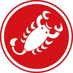 Castelli Custom, Kontich openingstijden