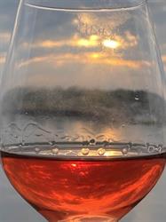 Wines at home, Hemiksem openingstijden