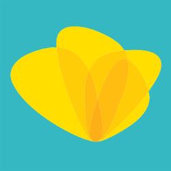 Coppieters Foundation, Brussel openingstijden