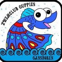 Zwemclub Guppies Ganshoren, openingstijden