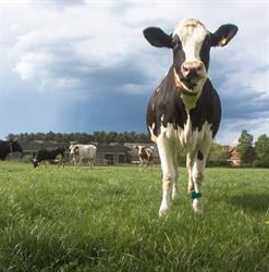 Hoeve de Ploeg, Herselt openingstijden