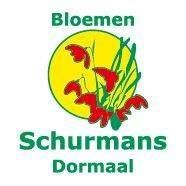Bloemen Schurmans, Dormaal openingstijden
