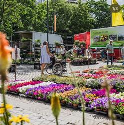 Wekelijkse Markt Hasselt, openingstijden