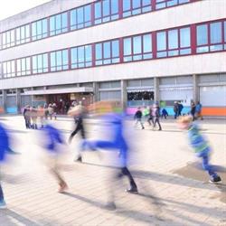Visitatie Baasrode, Dendermonde openingstijden