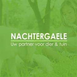 Nachtergaele - uw partner voor dier & tuin, Nazareth openingstijden