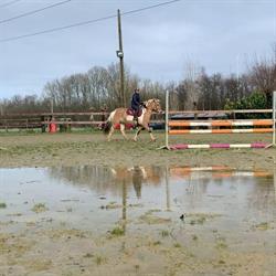 Stal The Paddock, Brugge openingstijden