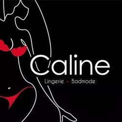 Caline Nieuwpoort, openingstijden