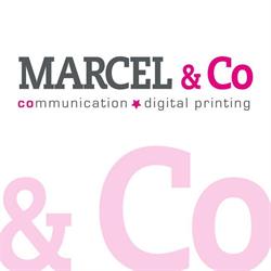 Marcel and Co, Eigenbrakel openingstijden