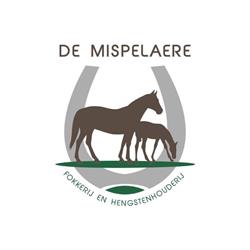 Stud de Mispelaere, Maldegem openingstijden