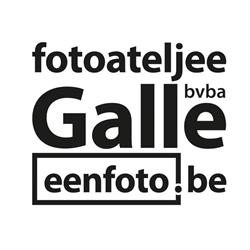 Fotoateljee Galle, Gits openingstijden