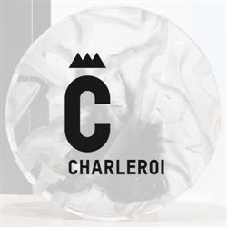 Museum voor Schone Kunsten (MBA) Charleroi, openingstijden