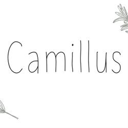 Eethuis Camillus, Roeselare openingstijden