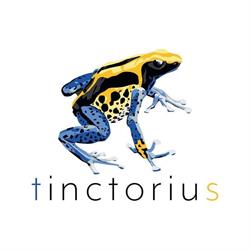 Tinctorius, Asse openingstijden